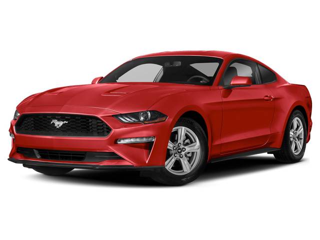 2019 Ford Mustang GT RWD photo