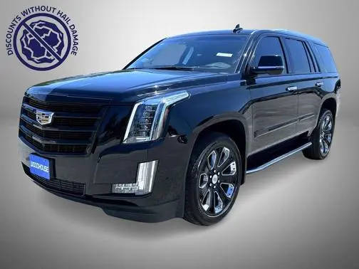 2019 Cadillac Escalade Luxury 4WD photo