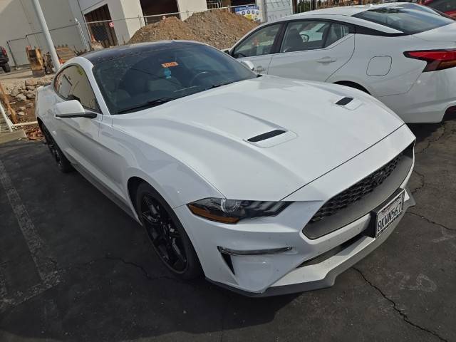 2019 Ford Mustang EcoBoost RWD photo