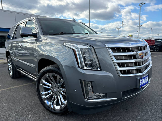 2019 Cadillac Escalade Premium Luxury 4WD photo