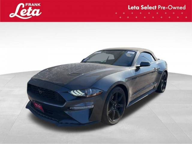 2019 Ford Mustang EcoBoost RWD photo