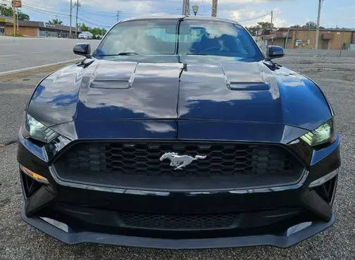 2019 Ford Mustang EcoBoost RWD photo