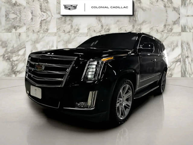 2019 Cadillac Escalade Luxury 4WD photo