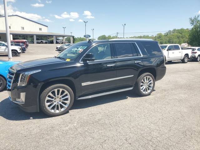 2019 Cadillac Escalade Luxury 4WD photo