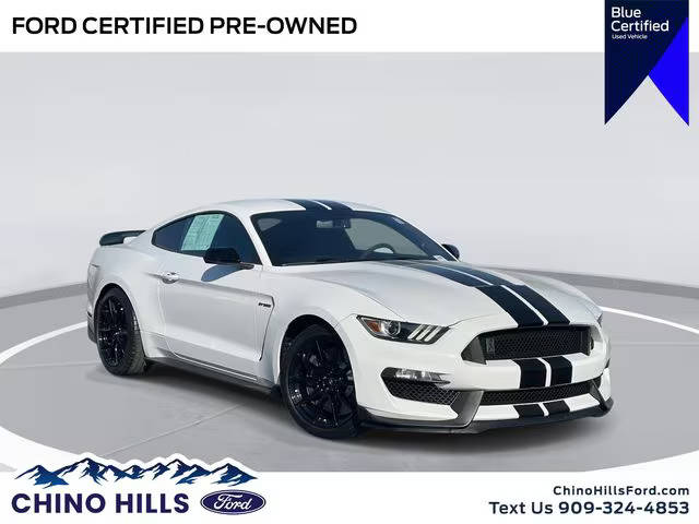 2019 Ford Mustang Shelby GT350 RWD photo
