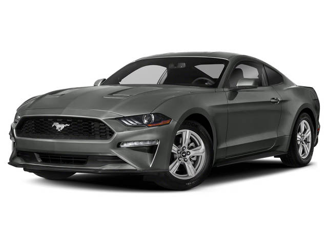 2019 Ford Mustang EcoBoost RWD photo