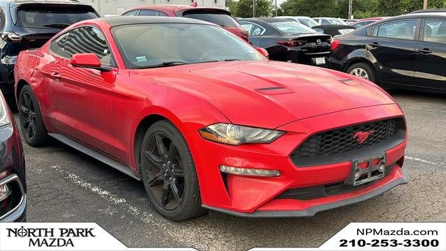 2019 Ford Mustang EcoBoost RWD photo