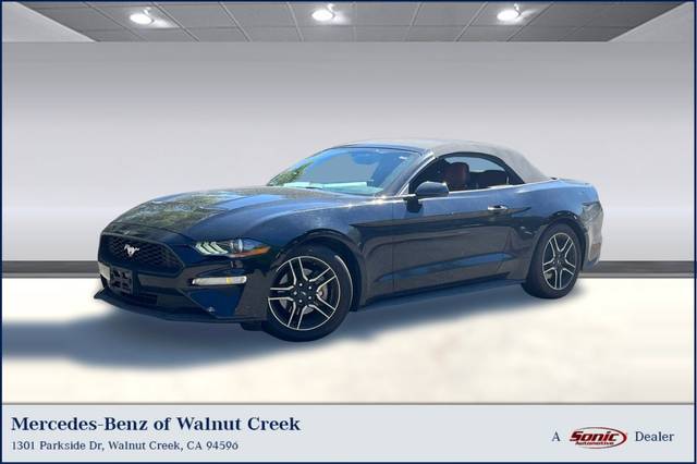 2019 Ford Mustang EcoBoost RWD photo