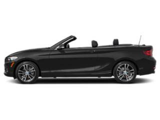 2020 BMW 2 Series 230i xDrive AWD photo