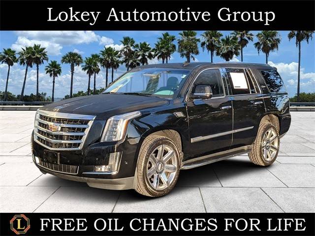 2019 Cadillac Escalade Luxury RWD photo