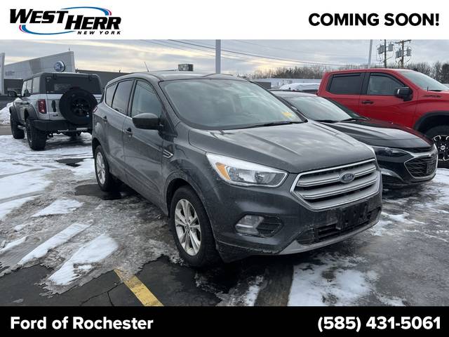 2019 Ford Escape SE 4WD photo