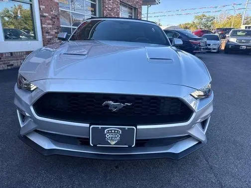 2019 Ford Mustang EcoBoost RWD photo