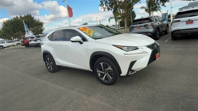 2019 Lexus NX NX 300h AWD photo