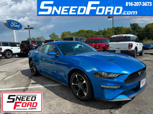 2019 Ford Mustang EcoBoost RWD photo