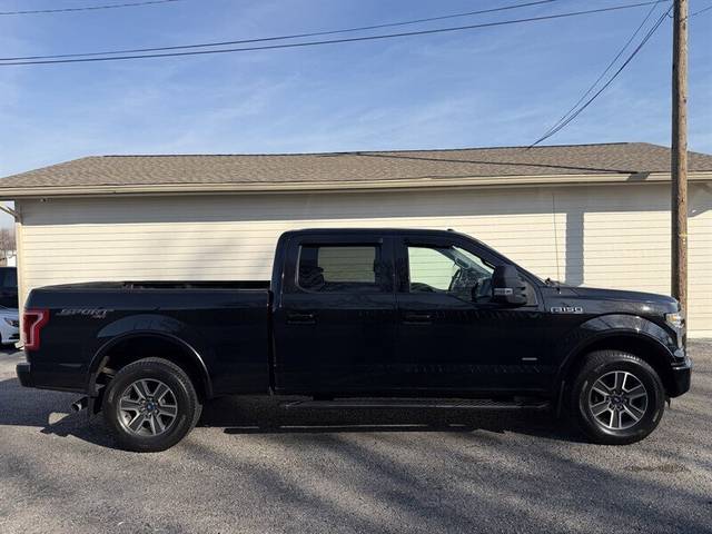 2015 Ford F-150 XLT 4WD photo
