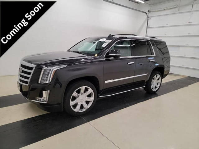 2019 Cadillac Escalade Luxury 4WD photo