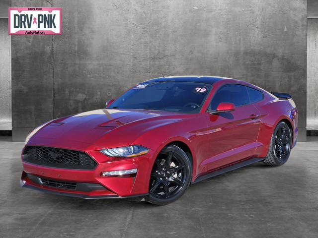 2019 Ford Mustang EcoBoost RWD photo