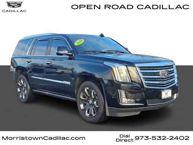 2020 Cadillac Escalade Platinum 4WD photo