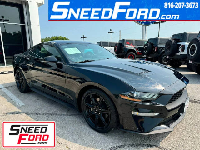 2019 Ford Mustang EcoBoost Premium RWD photo