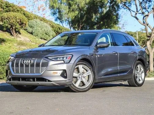 2019 Audi e-tron Premium Plus AWD photo