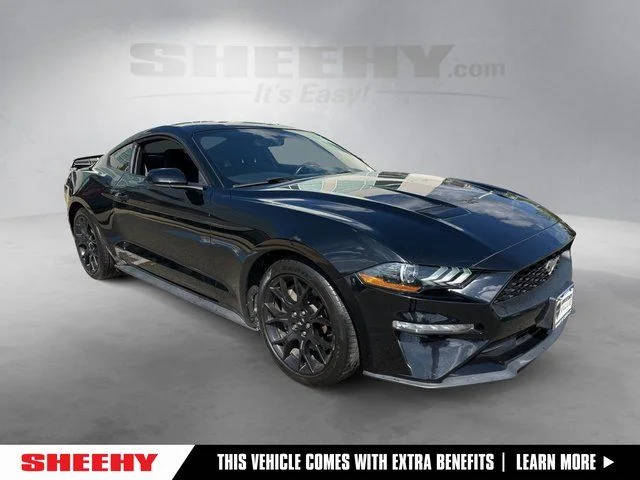 2019 Ford Mustang EcoBoost RWD photo