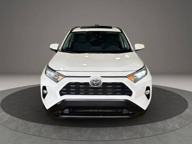 2019 Toyota RAV4 XLE AWD photo