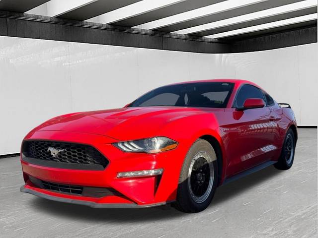 2019 Ford Mustang EcoBoost RWD photo