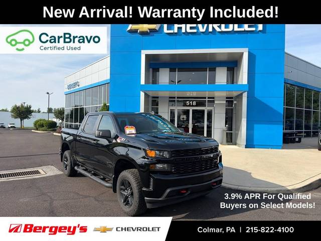 2019 Chevrolet Silverado 1500 Custom Trail Boss 4WD photo