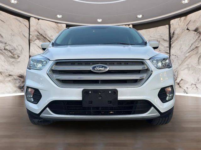 2019 Ford Escape SE 4WD photo