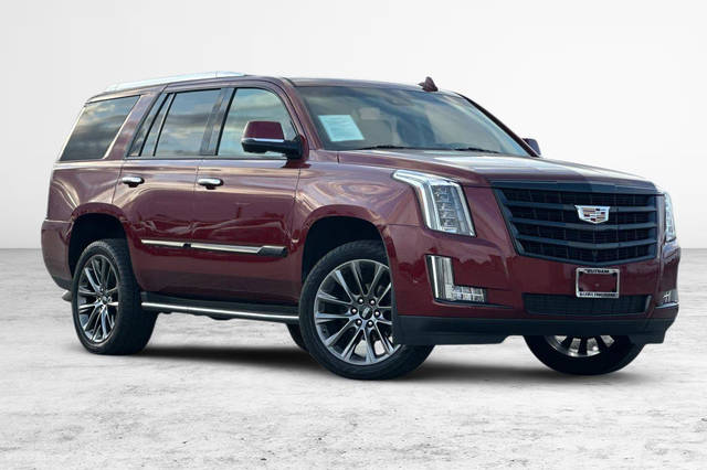 2020 Cadillac Escalade Luxury RWD photo