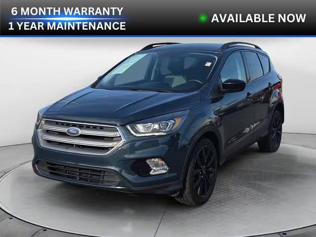 2019 Ford Escape SE 4WD photo