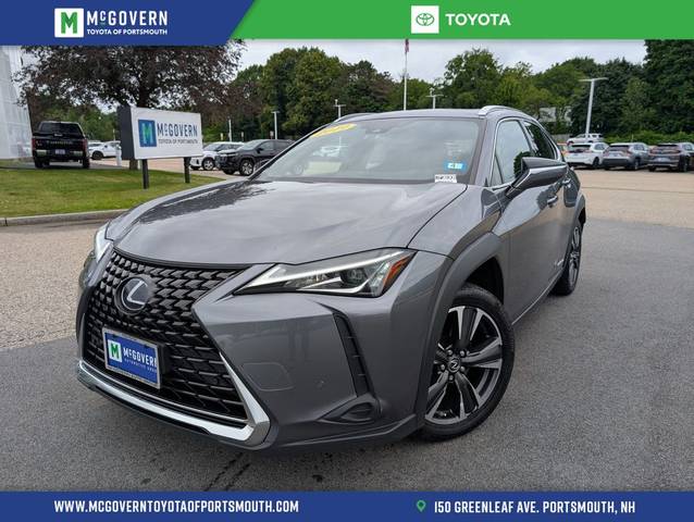 2019 Lexus UX UX 250h Luxury AWD photo