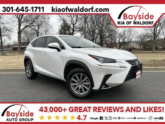 2020 Lexus NX NX 300h AWD photo