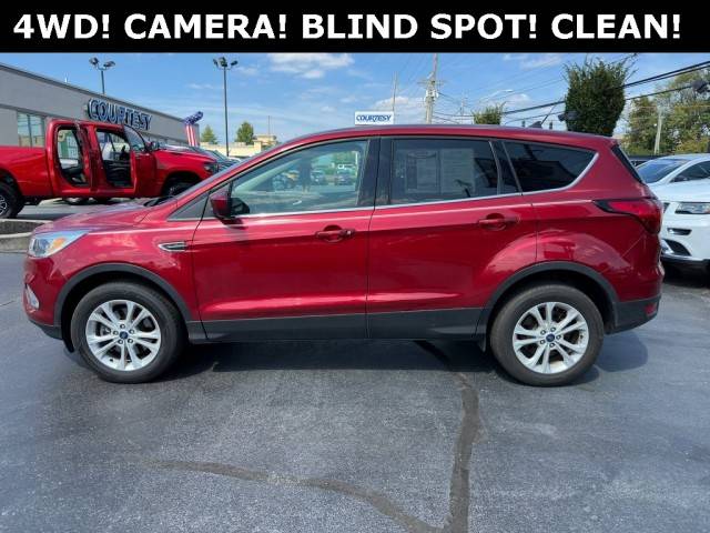 2019 Ford Escape SE 4WD photo