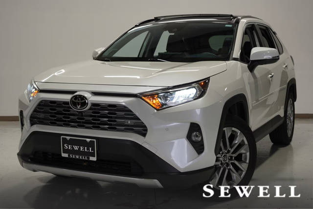 2019 Toyota RAV4 Limited FWD photo