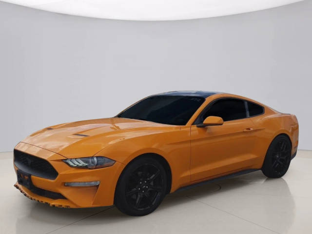 2019 Ford Mustang EcoBoost RWD photo