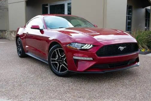 2019 Ford Mustang EcoBoost RWD photo