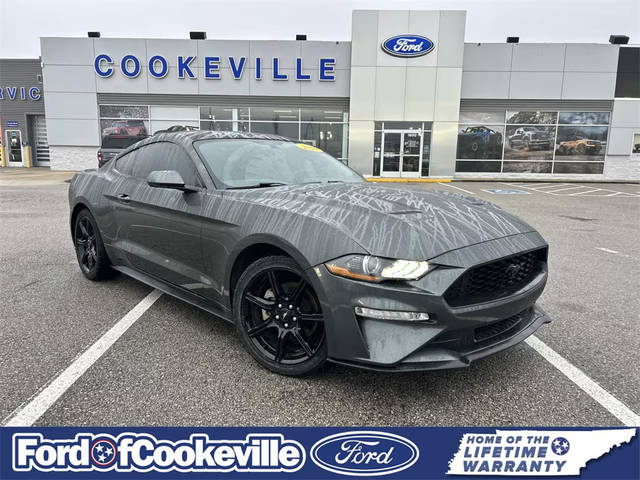 2019 Ford Mustang EcoBoost RWD photo