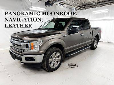 2019 Ford F-150 XLT 4WD photo