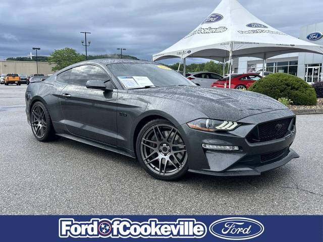 2019 Ford Mustang GT Premium RWD photo