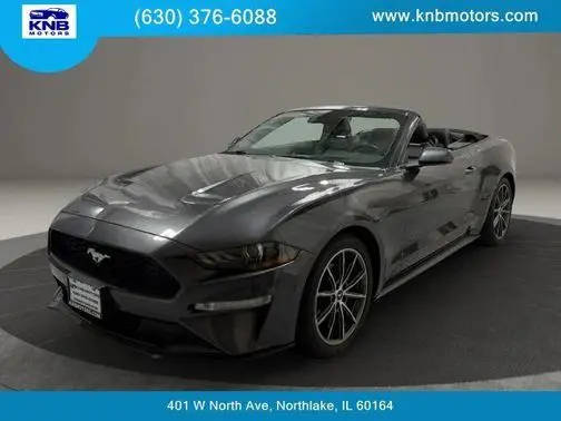 2019 Ford Mustang EcoBoost RWD photo