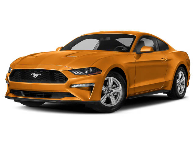 2019 Ford Mustang EcoBoost RWD photo