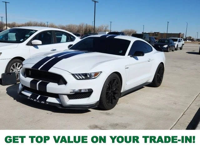 2019 Ford Mustang Shelby GT350 RWD photo