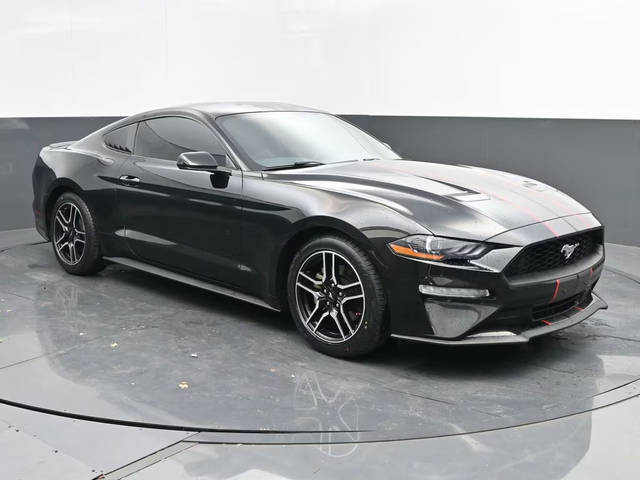 2019 Ford Mustang EcoBoost RWD photo