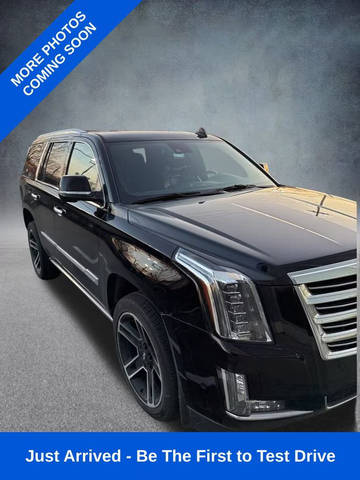 2020 Cadillac Escalade Platinum 4WD photo