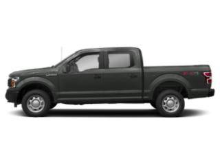 2019 Ford F-150 XL 4WD photo