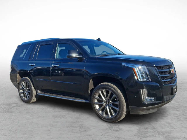 2020 Cadillac Escalade Luxury 4WD photo