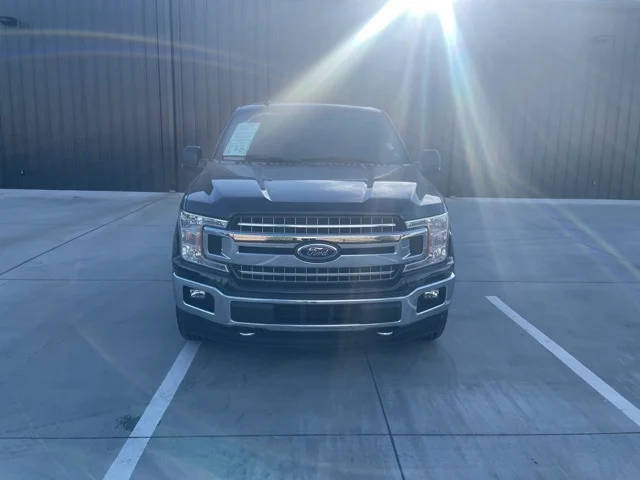 2019 Ford F-150 XLT 4WD photo