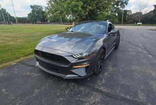 2019 Ford Mustang EcoBoost RWD photo