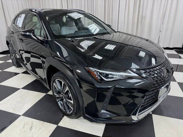2019 Lexus UX UX 200 FWD photo